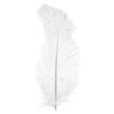 Plume blanche