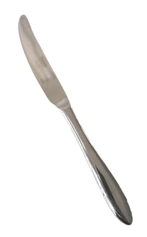 Haute gamme chrome - Couteau à dîner