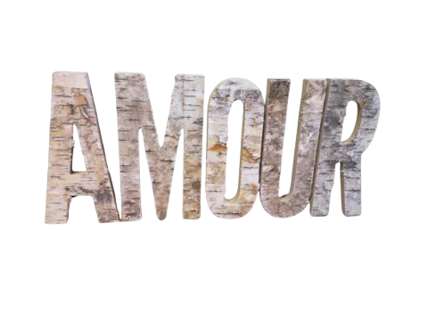 AMOUR