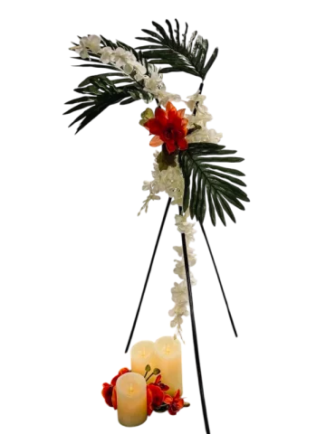Tropical 4