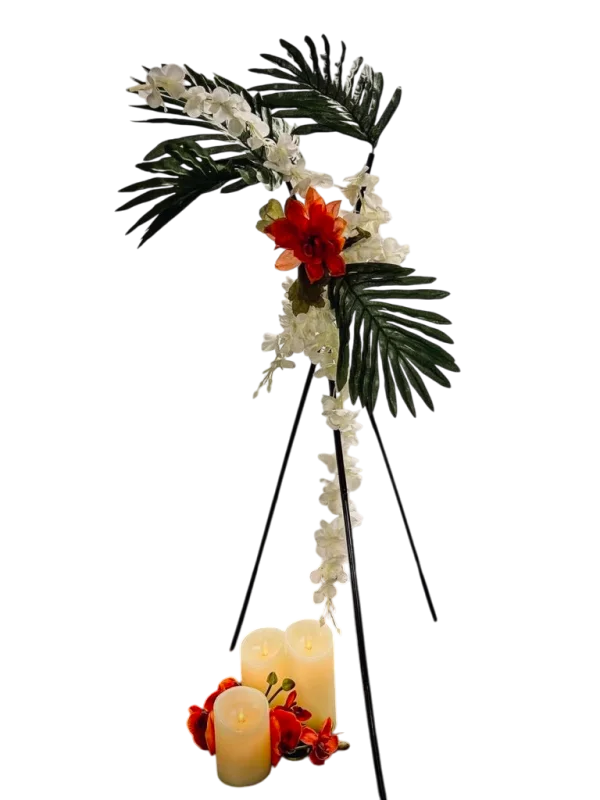 Tropical 4
