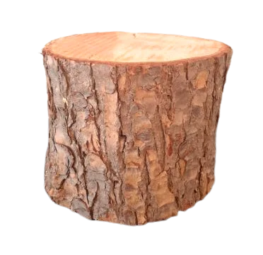 Bûche