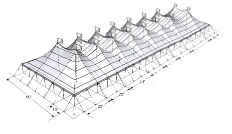 Chapiteau 60x180 avec côtés