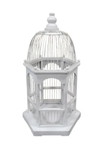 Cage à oiseau blanche pour carte