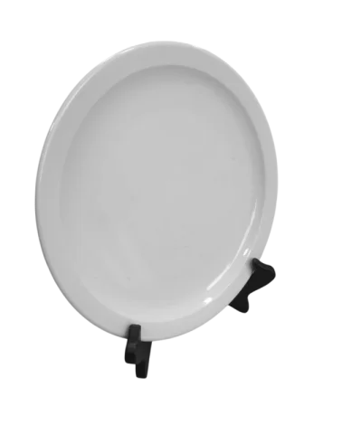 Assiette World 11''