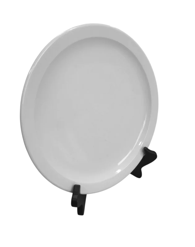 Assiette World 11''