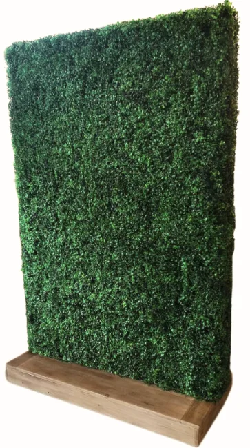 Mur de verdure décoratif
