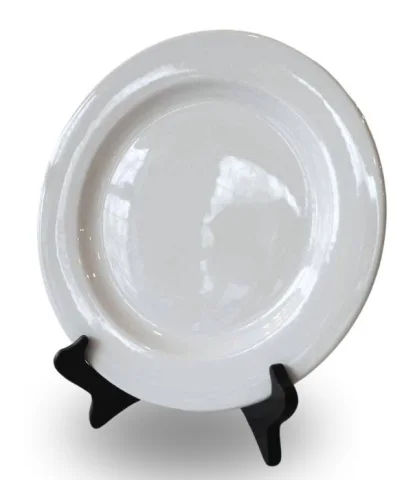 Assiette Steelite 12''