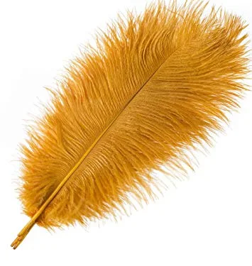 Plume or